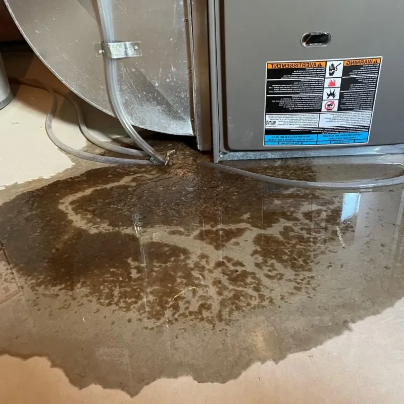 Pipe Burst and Leak Restoration in Cozad, NE